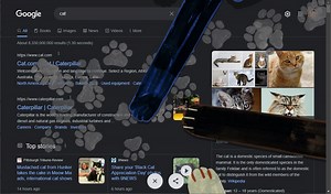 Google's International Cat/Dog Day Easter eggs