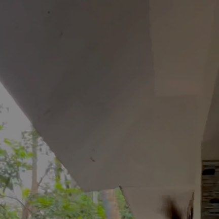 ‎أَفْصَل‎ | OoHhhhhhhh Noooooo🏃‍♂️🏃‍♂️💨💨 . . . . . . WeLCoMe To NS WorLd Follow FoR mOre @ns_vulture KeeP SuppOrTinG for More PiCs & Videos... | Instagram