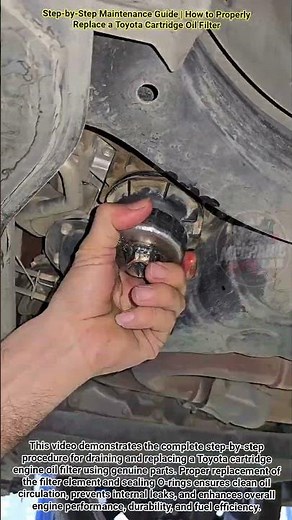 Step-by-Step Maintenance Guide | How to Properly Replace a Toyota Cartridge Oil Filter #shorts #diy