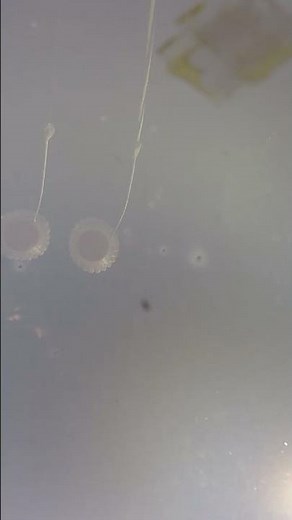 POV: Orion Spacecraft Reentry After Artemis I Mission to the Moon