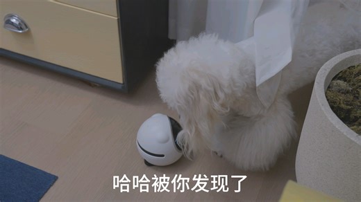 乐趣的逗宠时刻，宠物陪伴机器人ENOR E1就要来了#宠物