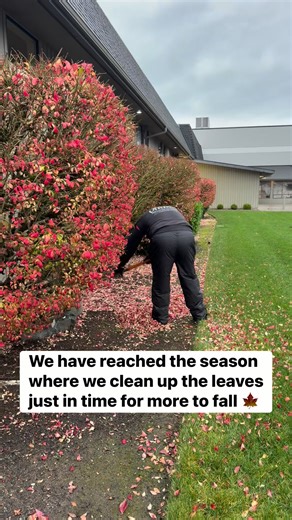 It’s a cycle this time of year. | Viking Landscape Solutions