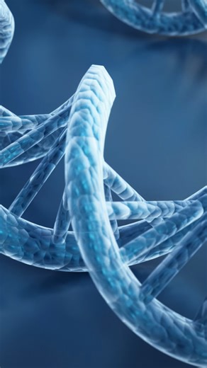 🧬🧪 El ADN: La molécula que contiene las instrucciones para construir y mantener a todos los seres vivos. El ADN es un código de vida escrito en un alfabeto de solo cuatro letras: A, T, C y G, que representan varias bases nitrogenadas. Con ellas se forman miles de genes que definen desde el color de tus ojos hasta cómo funciona cada célula de tu cuerpo. Lo más asombroso de todo es que este código está presente en casi todas las células. También compartimos gran parte de nuestro ADN con otros se