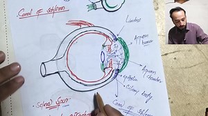 3K views · 320 reactions | EYE Anatomy Lecture.... For All lectures contact us on whatsapp... | Up Teaching Academy | Facebook