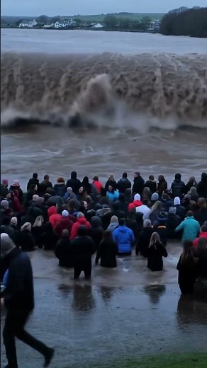 The Wave vs. The Crowd 🌊 #epic