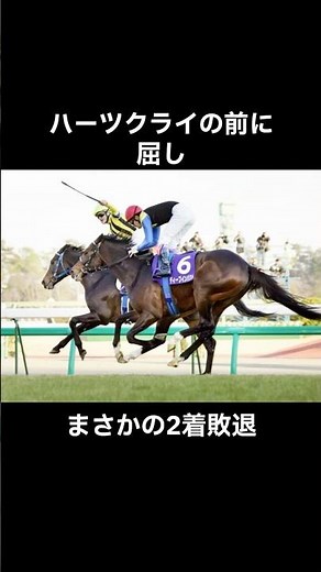 ディープインパクトの軌跡〜初めての敗北・世界の壁〜＃牡馬クラシック＃皐月賞＃日本ダービー＃菊花賞＃ディープインパクト