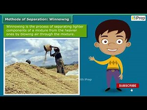 Methods of Separation - Winnowing | Methods of Separation in Everyday Life | Science | Class 6