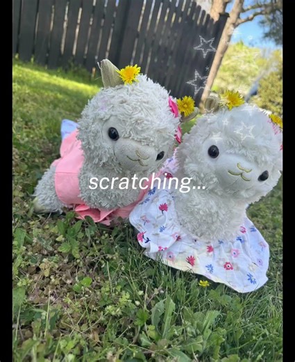 Llamabean and fluffbean