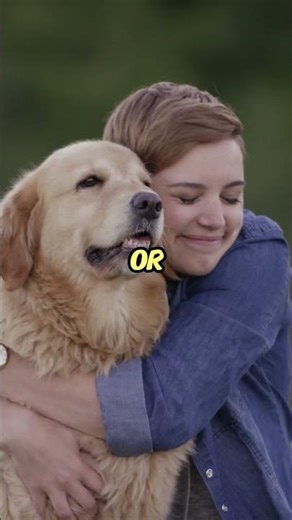Dog Walking Vs Pet Sitting | Which Pays More? #smartmoney