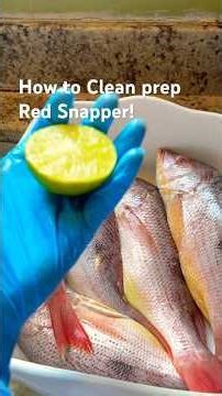 How to Clean Red Snapper at Home!