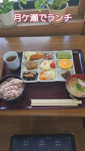 【月ケ瀬でランチ】#奈良県 #月ケ瀬 #ランチ #道の駅 #定食 #はくちゃん #shorts