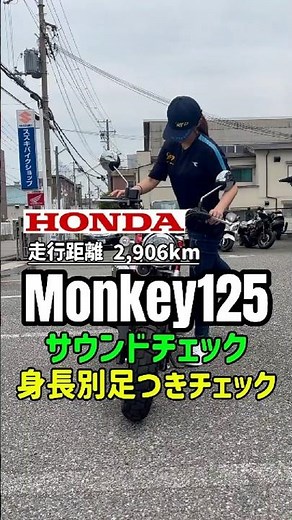 【成約御礼】【モンキー125】極上2,906km！ギアポジ＆時計装備で快適度UP！足つきチェック【MFD神戸】🏍️💨 #mfd神戸店 #バイク #shorts