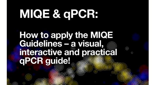 RT-qPCR Primer Design教程（曼波配音）