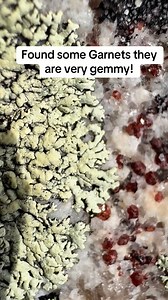 Finding red garnets in quartz #Garnets #crystal hunting #prospecting | Wild Earth Treasures