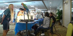 Vendors and residents from around Florida come out to Gainesville Exotic Bird Expo