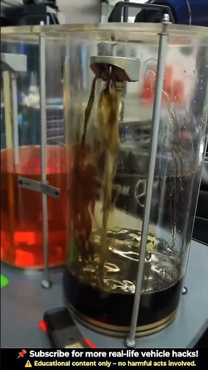 AMG Transmission Flush DONE RIGHT! ⚙️ Mercedes Smooth Shift Fix 🔧 #automobile #transmission #amg