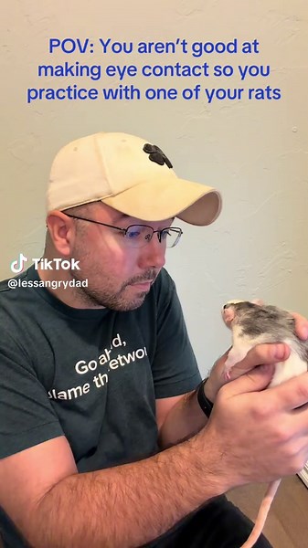 Practicing Eye Contact with Comforting Rats