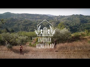 Watch Us Turn 5 Acres of Rural Italy into a Self-Sufficient Off-Grid Homestead!