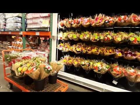 Costco trip for Flowers and Plants #flowers
