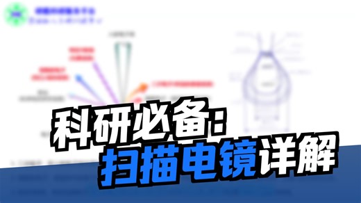 第1节：扫描电子显微镜（SEM）介绍