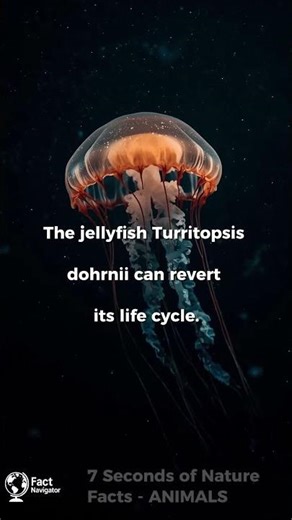 The Animal That Reverses Aging | Animals in 7 Seconds #34