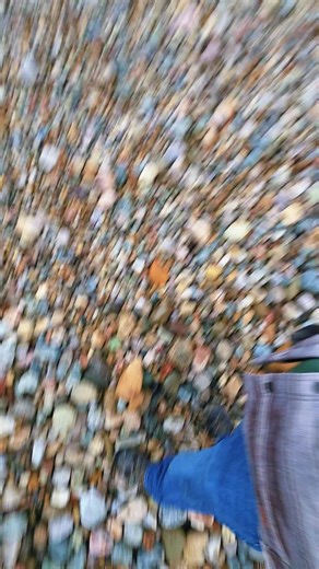 Explore Rock Hunting Adventures in Michigan