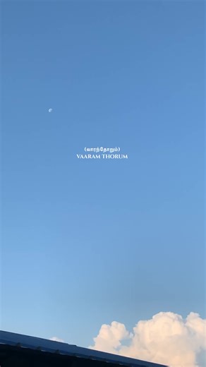 #tamilsong #besttamilbgm #fyp #fypシ゚viral #trendingnow #songlyricsvideo #wordsspeaklife #musicdrug❤️‍🔥 #yaazhini #alltimefavourite #mrk #fellinlove #painrelief #musicworld #lovemusic🎉 #BGMCollections #bestmedicine #listening #vibe