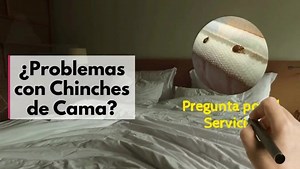 ¿Chinches de cama? Una manera más precisa de identificar una...