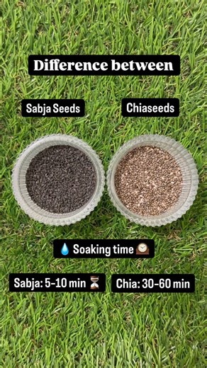 Vinuta Patil on Instagram: "🌱 Chia Seeds vs 🌿 Sabja Seeds 1. What they are • Chia seeds come from the Salvia hispanica plant (originally from Mexico). • Sabja seeds (also called basil seeds) come from the sweet basil plant and are commonly used in Indian drinks. 👉 They look similar, but they are not the same nutritionally. 2. Soaking difference (VERY important) • Chia seeds take 30–60 minutes to soak properly. • Sabja seeds swell within 5–10 minutes. 👉 Sabja absorbs water faster, so it feels