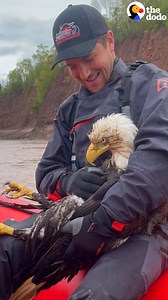 47M views · 343K reactions | This guy saved this eagle from drowning and hugged her until she could fly again ❤️ | The Dodo | Facebook