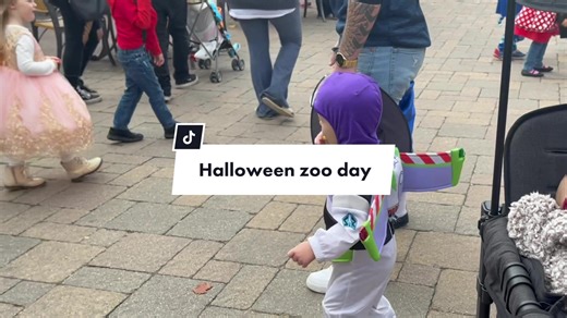 Family Halloween zoo day. 🤍 #fyp #zoo #halloween