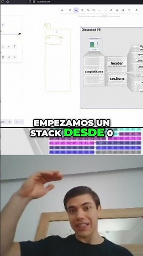 Constant variables and functions in programming