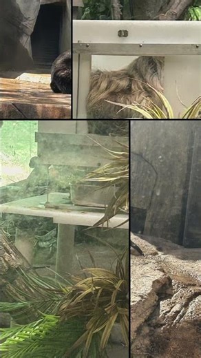 Milwaukee county zoo compilation