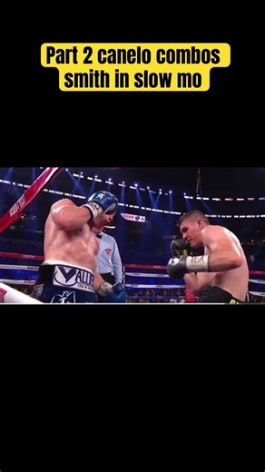 Part 2 canelo combos smith
