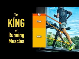 The King of Running Muscles and how to train it!