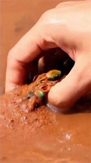 Catch & Release - Baby Crab Color So Beautiful