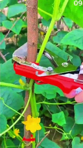 The process of installing hooks for a garden bed