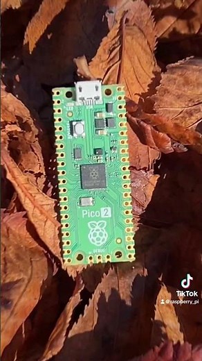 Raspberry Pi Pico 2 stuns in cosy fall photoshoot