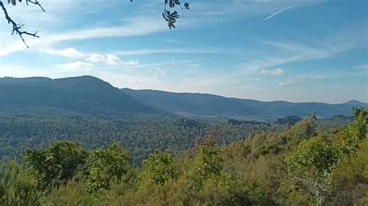 El cantar indescriptible para los indescriptibles. El fandango del rehalero y sus perros, algo que, o se siente o, la elección del silencio es el mayor acierto. ¡Larga vida a la rehala! | Territorio Cinegético