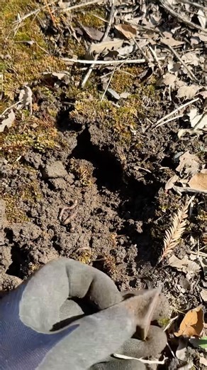 What is it? #metaldetecting