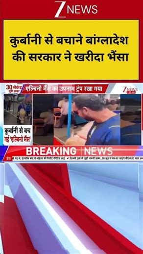 Breaking News: कुर्बानी से बचाने बांग्लादेश की सरकार ने खरीदा भैंसा | Bakrid 2026