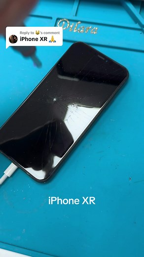 iPhone XR: Testimonial Colors, Performance & Durability