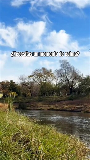 ¿Necesitás un poco de calma? 🤫🌾#shorts