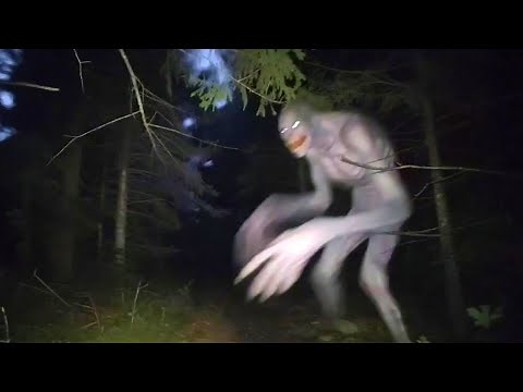 Terrifying Real Cryptids Caught on Camera From Around the World