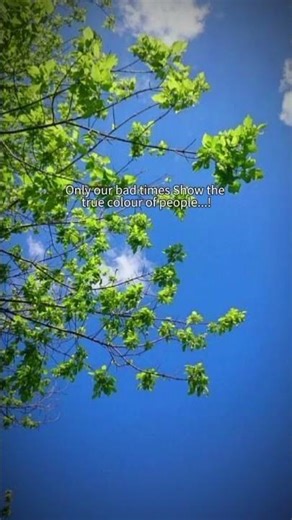 Let the lizard change the color