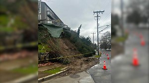 Huge Falling Tree Triggers Landslide In Seattle Neighborhood