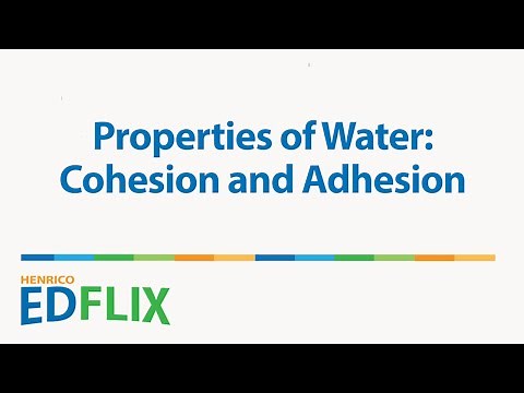 HCPS On-Line: Properties of Water: Cohesion and Adhesion