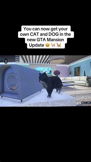 gtaonlineclips on Instagram: "You can now get your own CAT and DOG in the new GTA Mansion Update 🤩 🐈 🐕 FOLLOW for more GTA Online Clips! 🔴 YouTube: | Submit clips in bio ↗️ #gta #gtav #gta5 #gta6 #gta5clips"