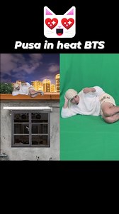 Pusa in heat #behindthescenes #greenscreen #videoediting #dongtv | Dong TV