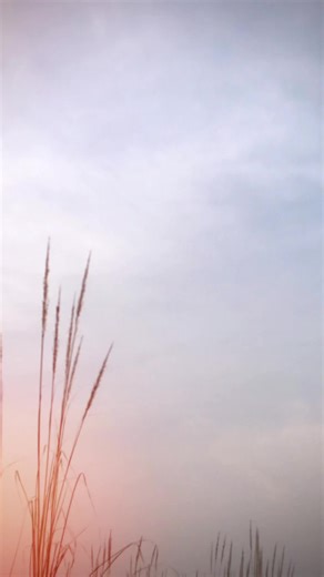 Naam Sunka🥷🔥#shuqeen🔥 #aseellovers #unfreezemyacount @Husnain Jatt🥷🔥 @ub4a_id1 @𝙍 𝘼 𝙅 𝘼 👑 @∆ B D U L L ∆ H ✨ @Haider. jarrla